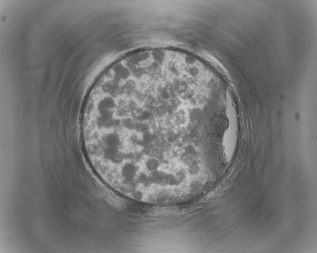 X0000077331183200611171800