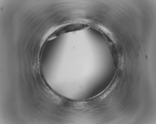 X0000077331184200611171800