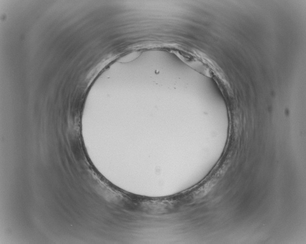 X0000077331185200611171800