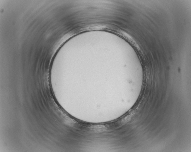 X0000077331186200611171800