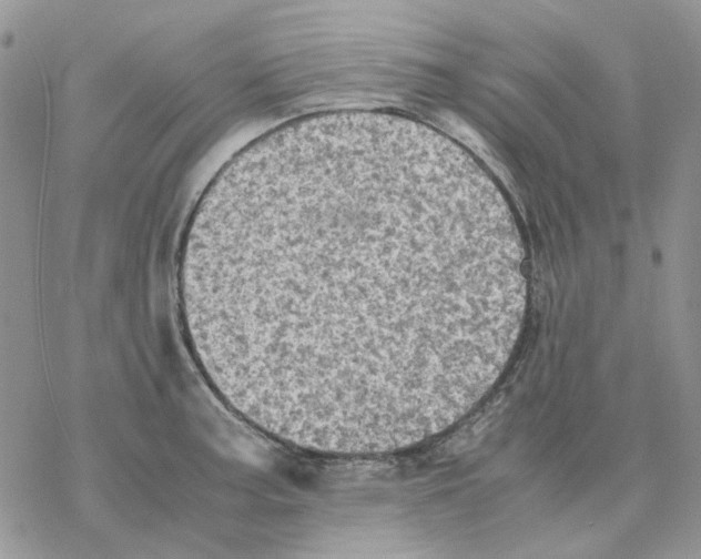 X0000077331187200611171800