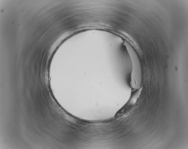 X0000077331188200611171800