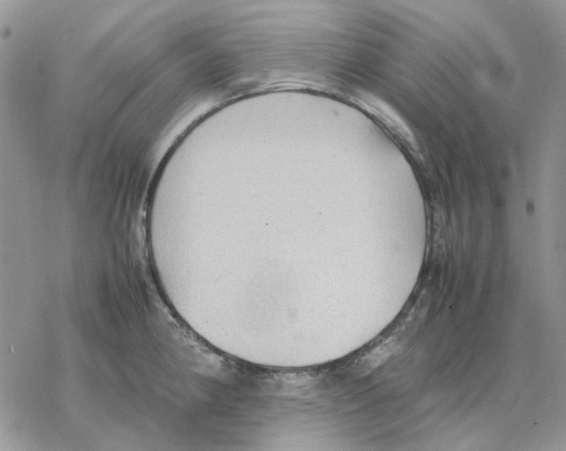 X0000077331190200611171800