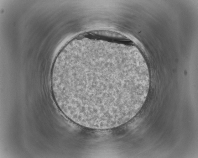 X0000077331191200611171800