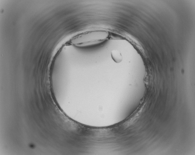 X0000077331192200611171800