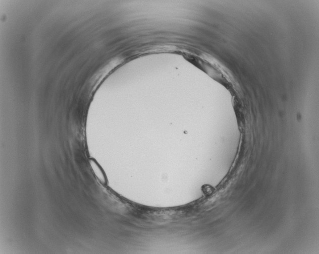 X0000077331193200611171800