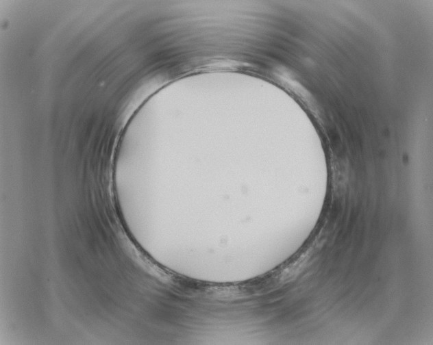 X0000077331194200611171759