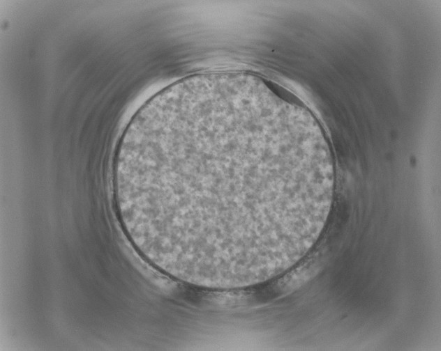 X0000077331195200611171759