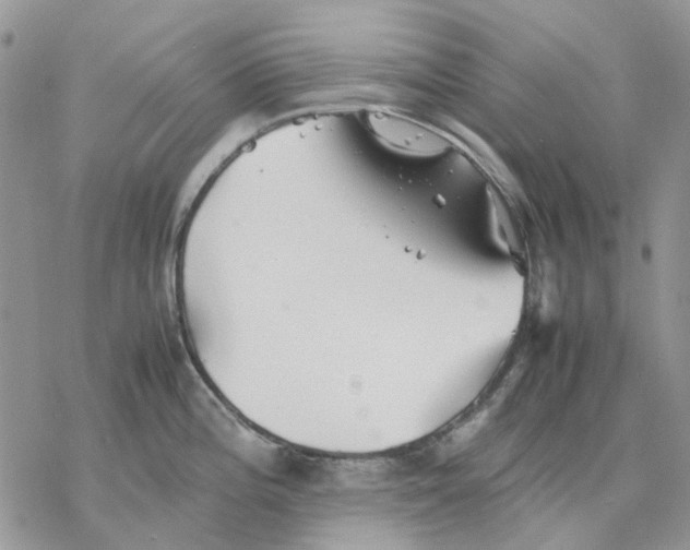 X0000077331196200611171759