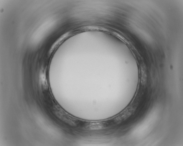 X0000077331198200611171759