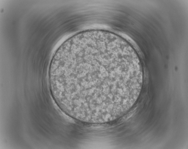 X0000077331199200611171759