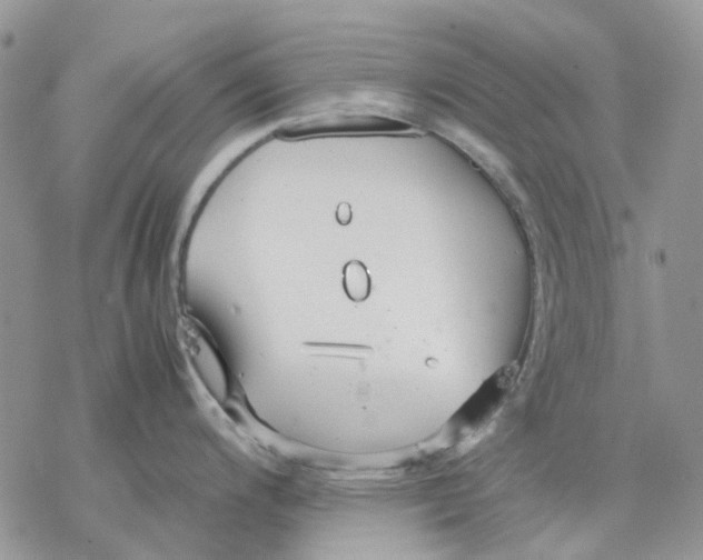 X0000077331200200611171759