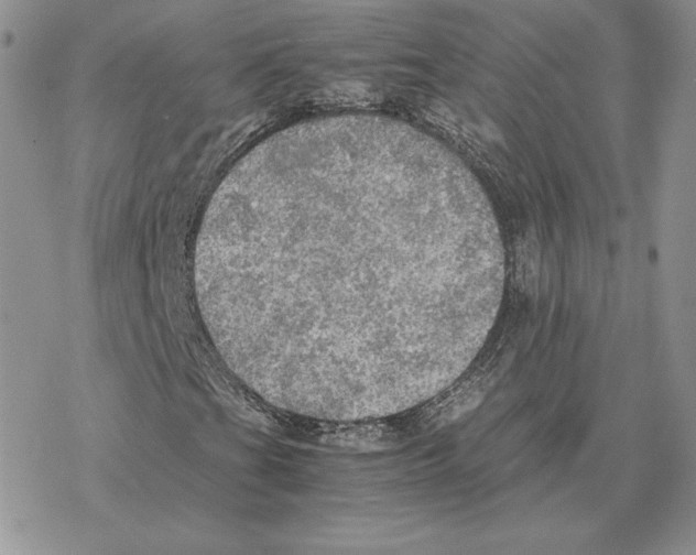 X0000077331201200611171759