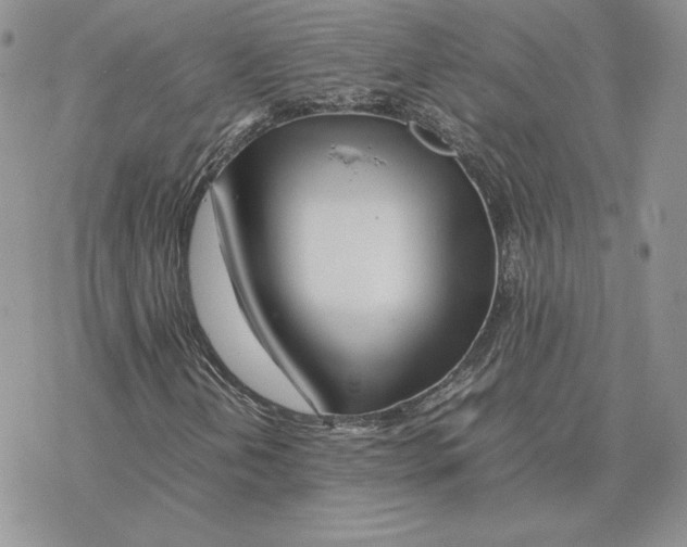 X0000077331202200611171759