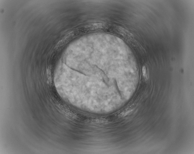 X0000077331203200611171759