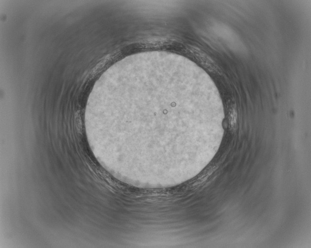 X0000077331204200611171759