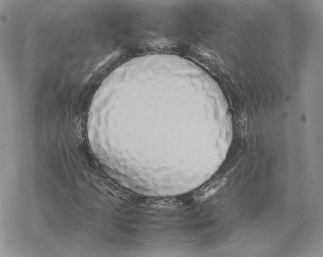 X0000077331205200611171759