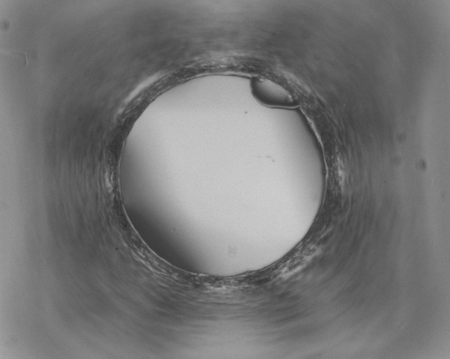 X0000077331206200611171759