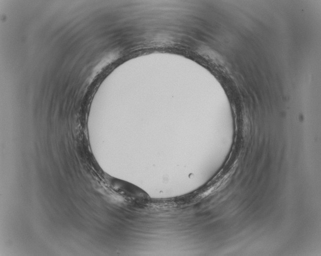 X0000077331210200611171759