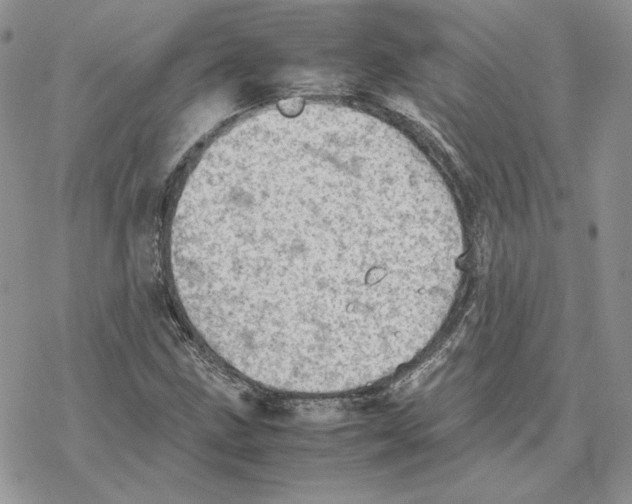 X0000077331211200611171759