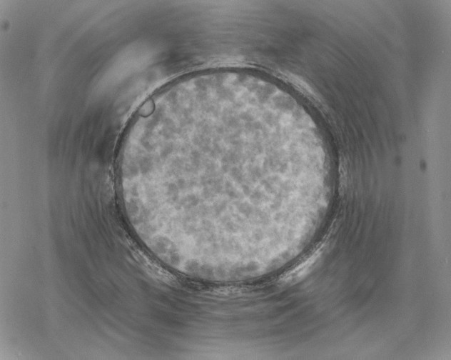 X0000077331212200611171759