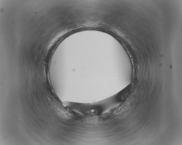 X0000077331214200611171759