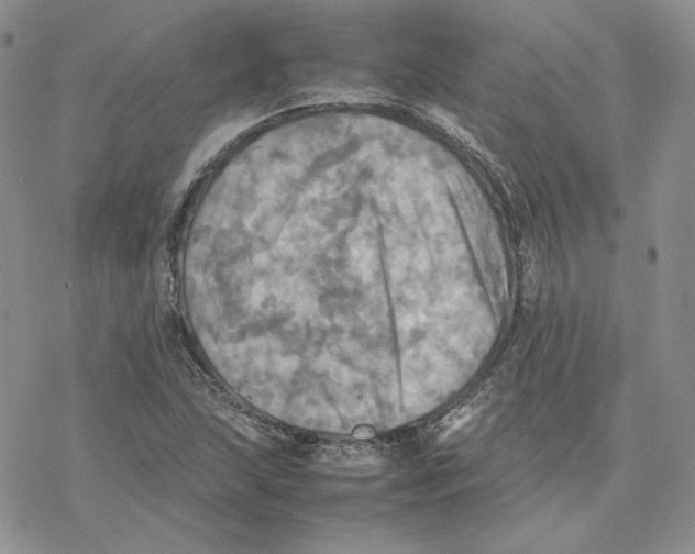 X0000077331215200611171759