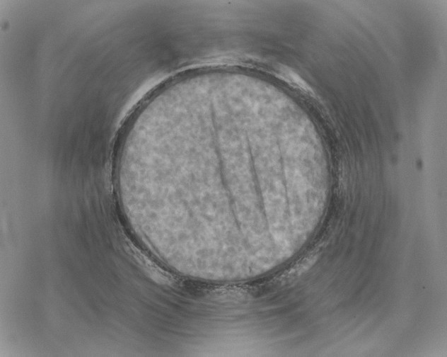 X0000077331216200611171759