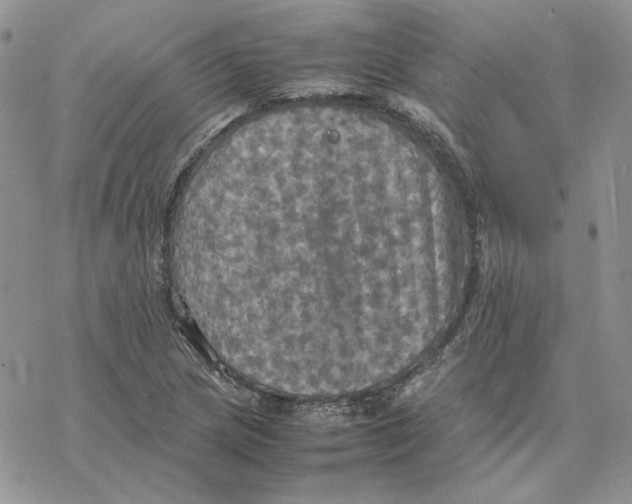 X0000077331217200611171759