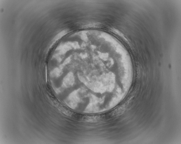 X0000077331219200611171759