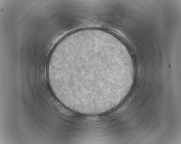 X0000077331220200611171759