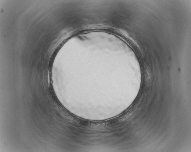 X0000077331221200611171759