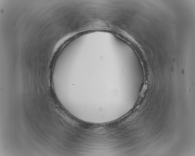 X0000077331222200611171759