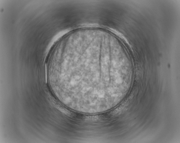 X0000077331223200611171759