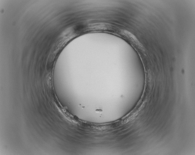 X0000077331225200611171759