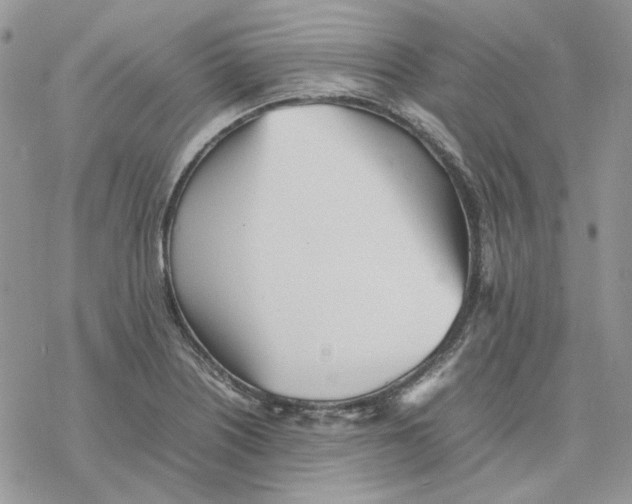 X0000077331226200611171759