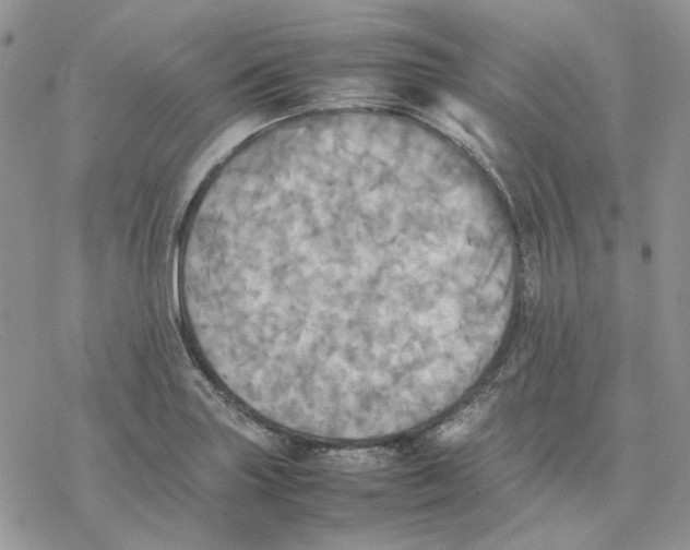 X0000077331227200611171759