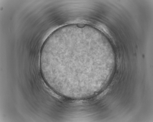 X0000077331228200611171759