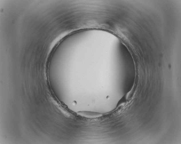 X0000077331230200611171759