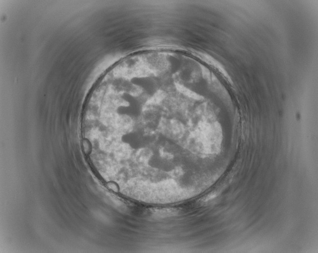 X0000077331231200611171759