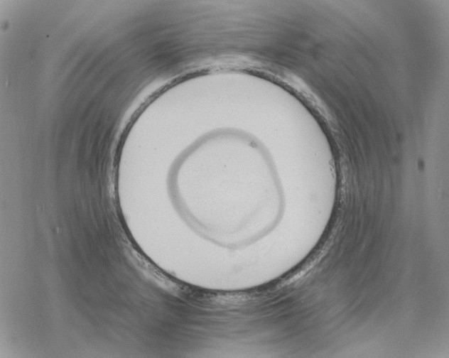 X0000077331232200611171759