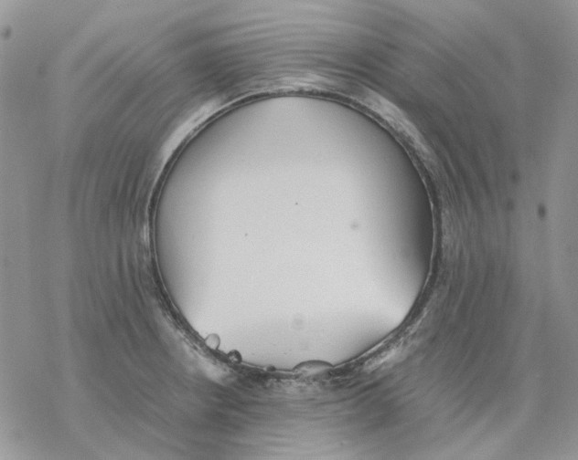 X0000077331234200611171759