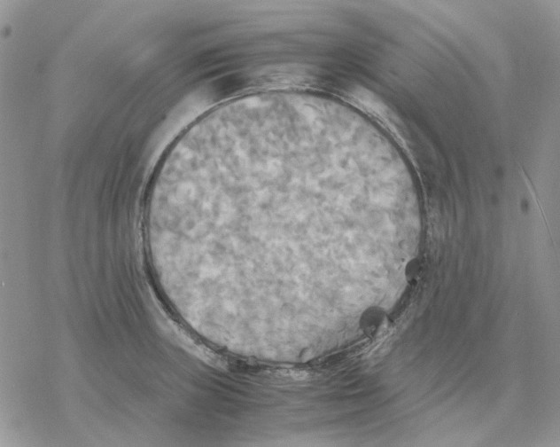 X0000077331235200611171759