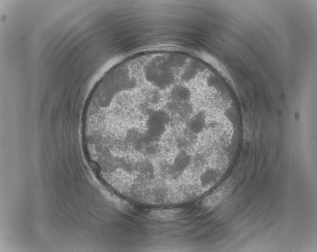 X0000077331237200611171759