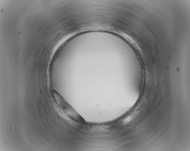 X0000077331238200611171759