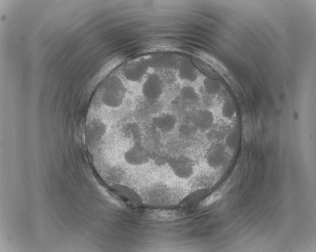 X0000077331241200611171759