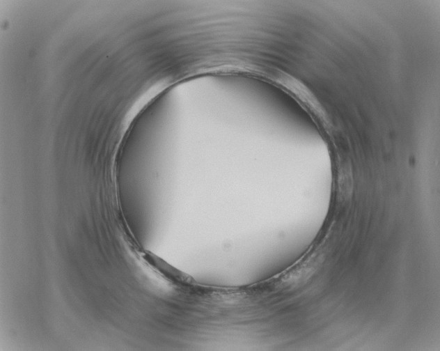 X0000077331242200611171759