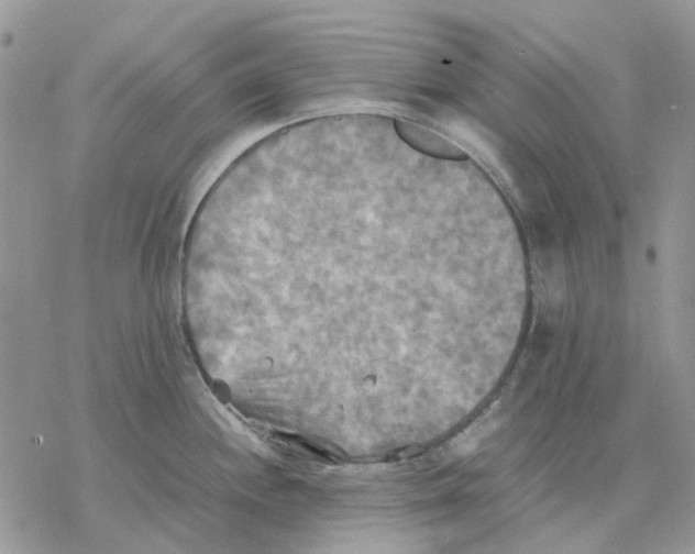 X0000077331244200611171759