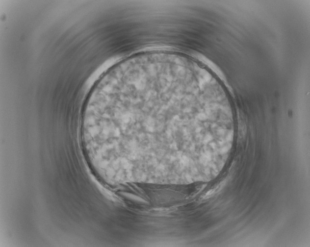 X0000077331245200611171759