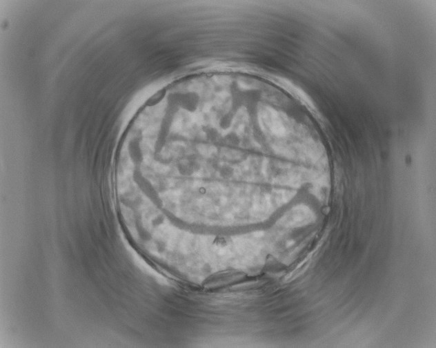 X0000077331247200611171759